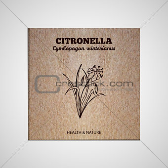Herbs and Spices Collection - Citronella