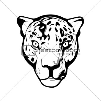 Head of Jaguar