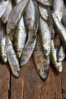Heap of small anchovies