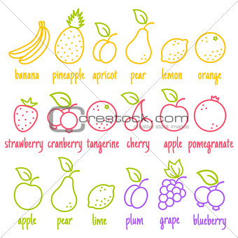 flat icons of a fruits