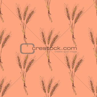 Sketch wheat bran in vintage style