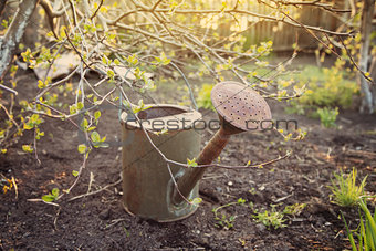 Watering Can