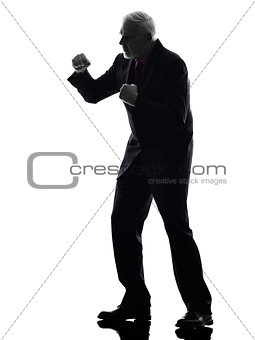 senior business man punching the air silhouette silhouette