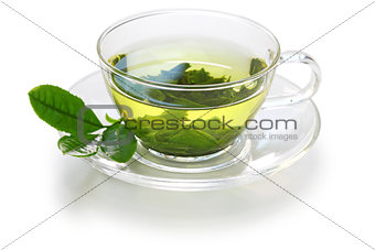 glass cup of Japanese green tea