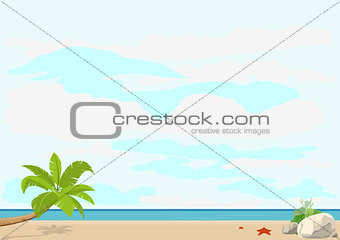 Summer vacation and travel. Palm tree and starfish on a sandy beach near the sea. Template booklet