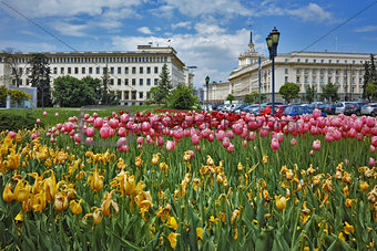 Spring Landscape of Square kniaz Alexander first