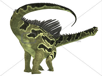 Agustinia Dinosaur Tail