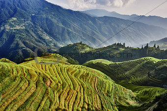 rice terraced fields Wengjia longji Longsheng Hunan China