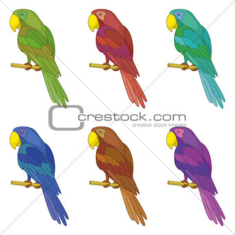 Parrots on a pole, set