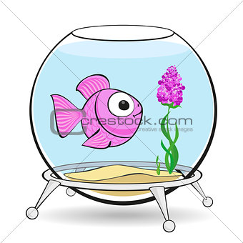 pink fish in fishbowl