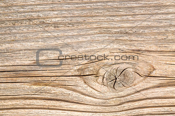 background texture of cedar wood