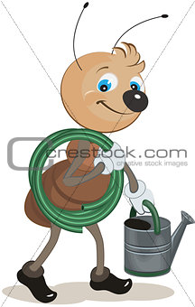 Ant gardener carries the hose and watering can
