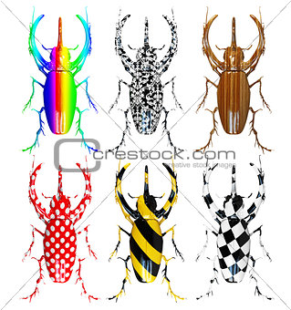 pattern  beetles