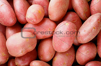 Red Potatoes Background
