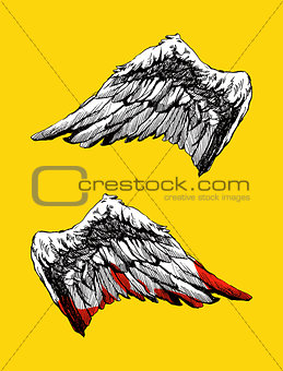 Hand drawn angel wings vector