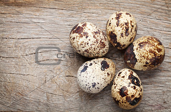 Quails eggs