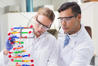 Concentrated scientists working together with dna helix