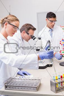 Scientists working attentively