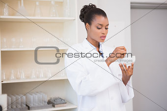 Concentrated scientist using pestle and mortar