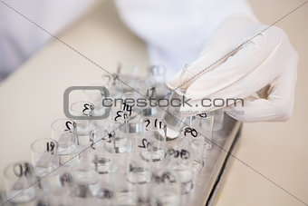 Scientist analyzing test tubes