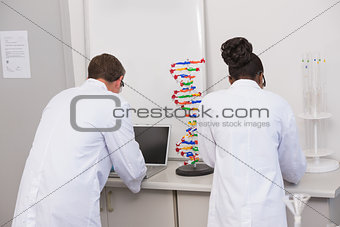 Scientists working with laptop