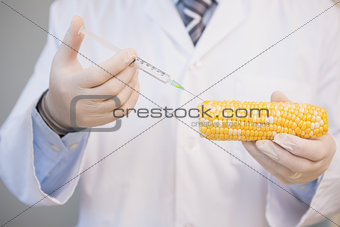 Food scientist examining corn