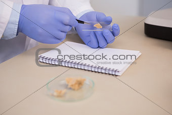 Scientist examining pieces of bread