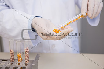 Scientist holding corn in tube