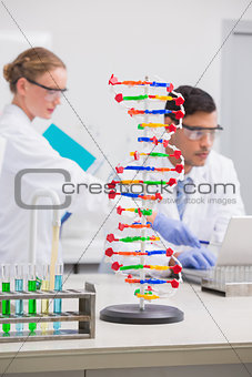 Scientists working on laptop together