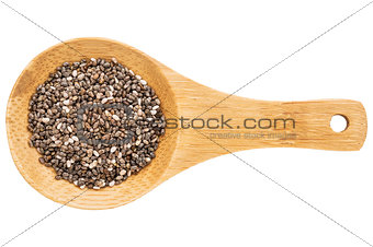 chia seeds on wooden spoon