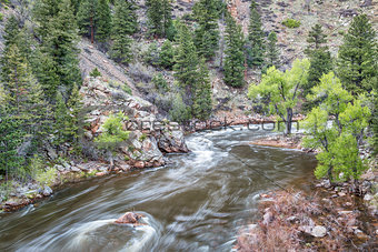 Cache la Poudre River in Rocky Mountains