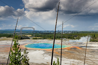 Landscape view of Grand prismatic spring with dry trees in Yello
