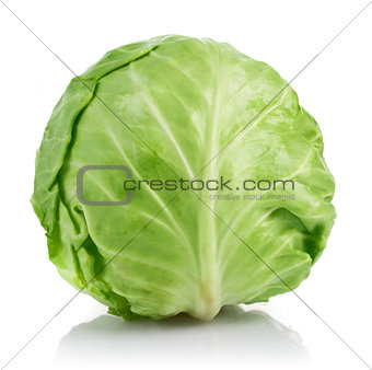 Fresh cabbage ripe vegetable