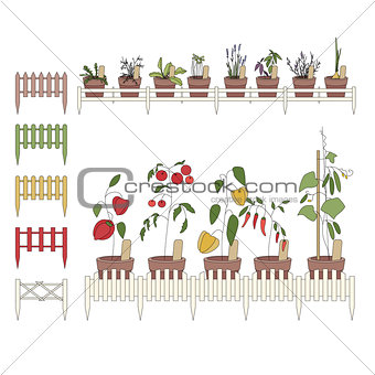 Flower pots with cultivated flowers. Decorative fence.