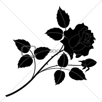Flower rose black silhouette
