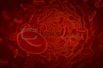 Blood cells in vein
