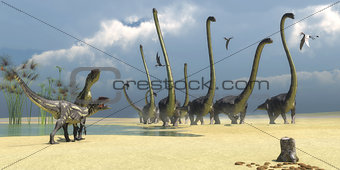 Allosaurus and Omeisaurus Dinosaurs