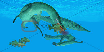 Mesosaurus Marine Reptile