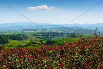 Hilly landscape. Tuscany, Italy