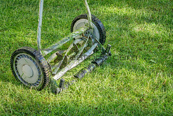 hand lawn mower close up