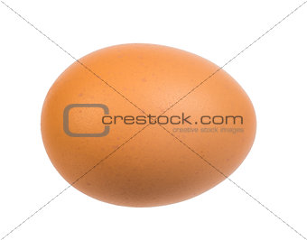 Brown egg on white