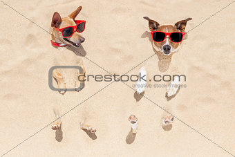 couple of dogs buried in sand