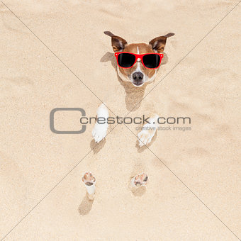 dog buried in sand