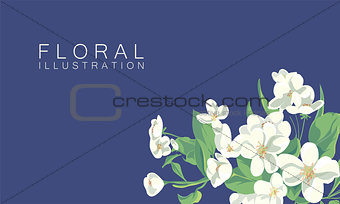 floral illustration
