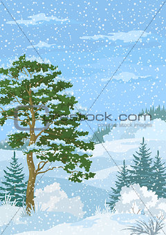 Winter Christmas Landscape with Trees and Snow