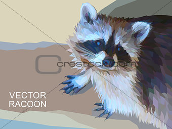 Vector racoon made of polygons. Eps 10.