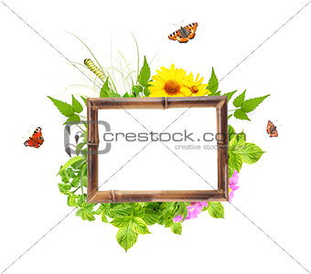 Bamboo frame with summer flowers, green leaves and insect