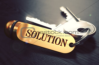 Keys to Solution. Concept on Golden Keychain.