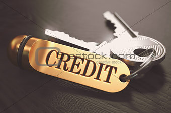 Keys with Word 'Credit' on Golden Label.