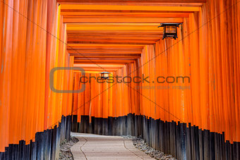 Torii Gates of Fushimi Inari Shrine